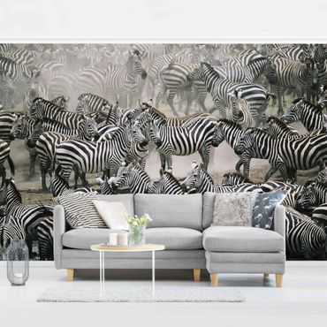 Wallpaper - Zebra Herd