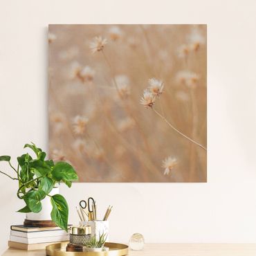 Natural canvas print - Delicate Grasses - Square 1:1