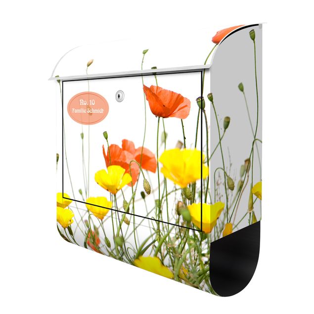 Letterbox customised - Wild Flowers
