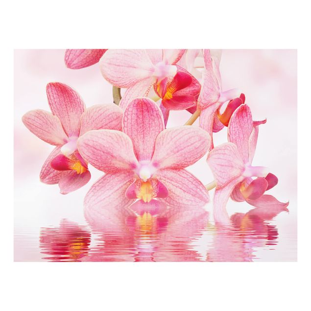 Glass Splashback - Pink Orchids On Water - Landscape 3:4