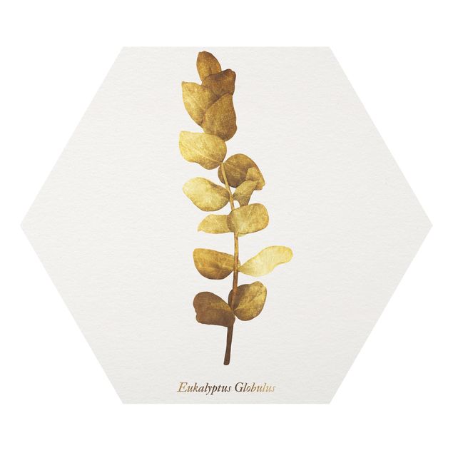 Forex hexagon - Gold - Eucalyptus