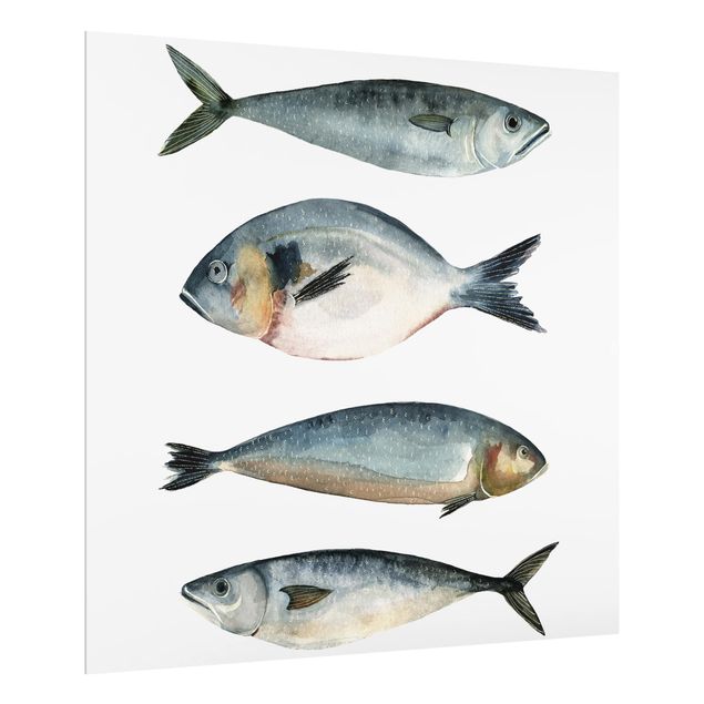 Glass Splashback - Four Fish In Watercolor II - Square 1:1
