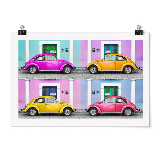 Poster - Dyed Beetles