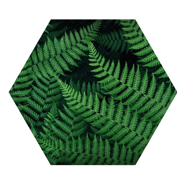 Wooden hexagon - Fern