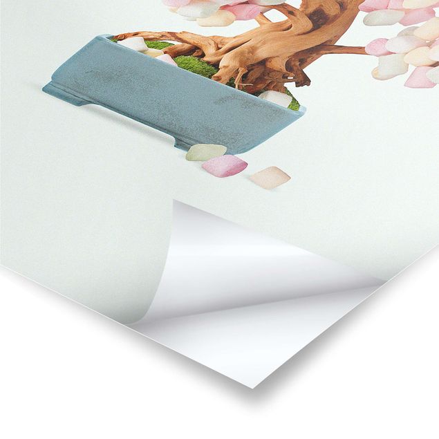 Poster - Bonsai With Marshmallows