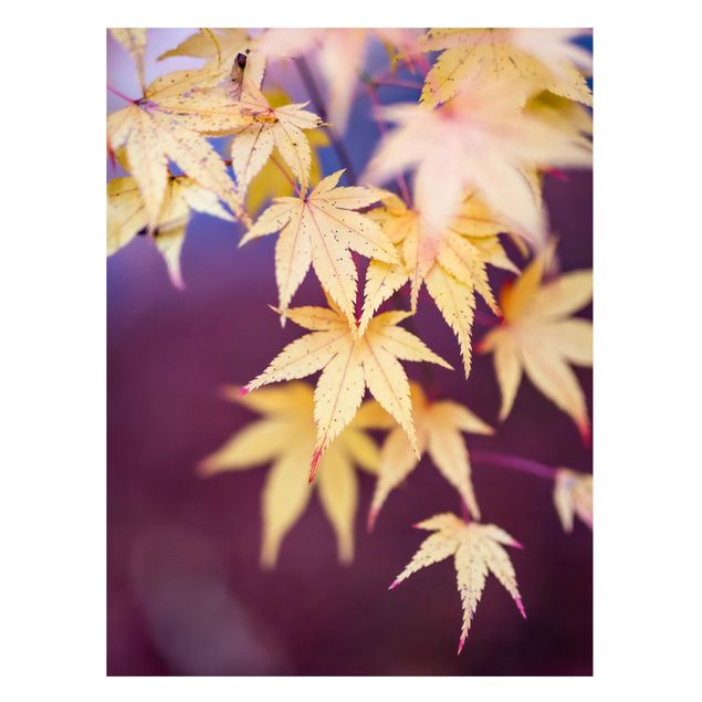 Magnetic memo board - Autumn Maple Tree