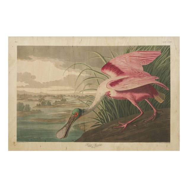 Print on wood - Vintage Board Pink Sturgeon