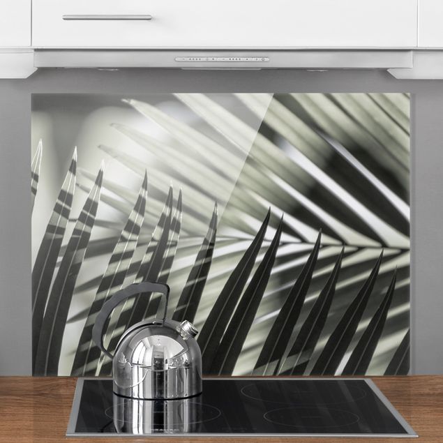 Glass splashback kitchen flower Interplay Of Shaddow And Light On Palm Fronds