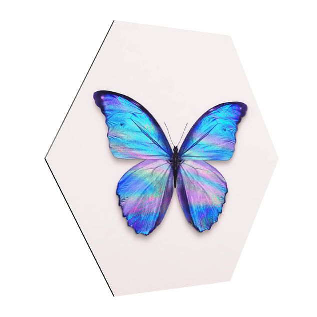 Alu-Dibond hexagon - Holographic Butterfly