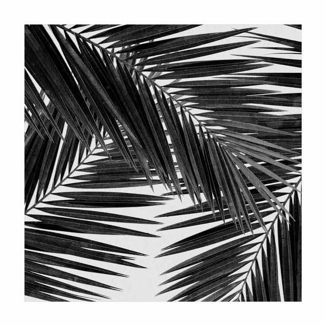 black and white area rug View Through Palm Leaves Black And White