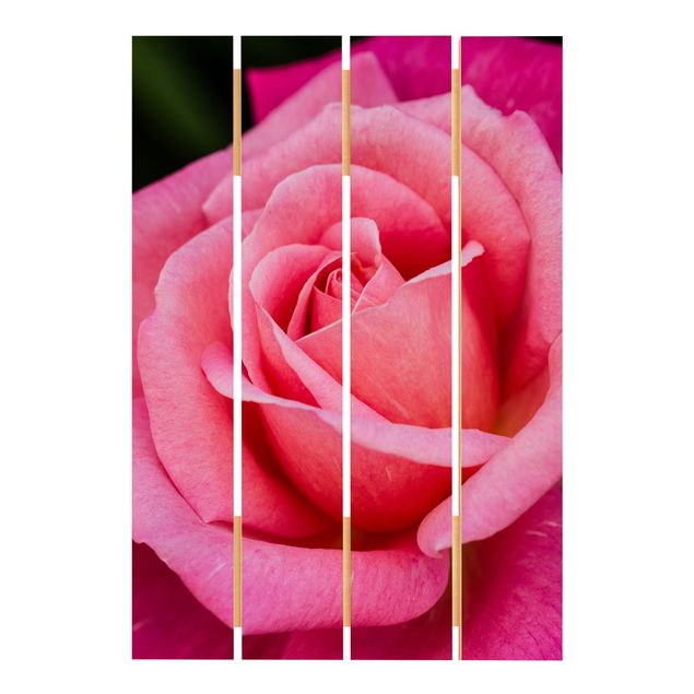 Print on wood - Pink Rose Flowers Green Backdrop