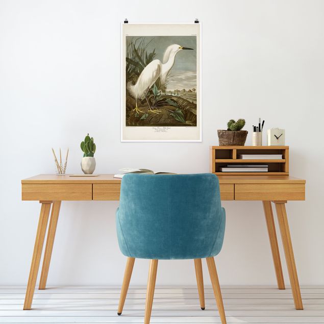 Poster - Vintage Board White Heron I