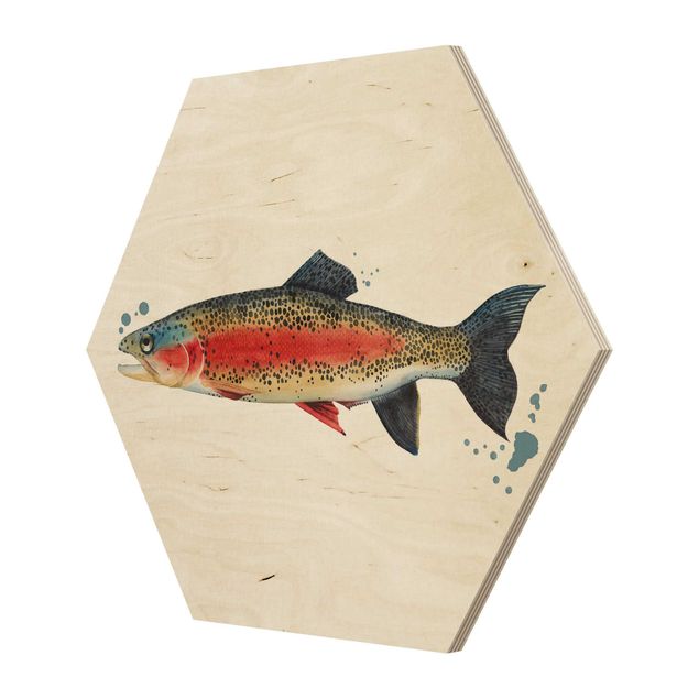 Wooden hexagon - Color Catch - Trout
