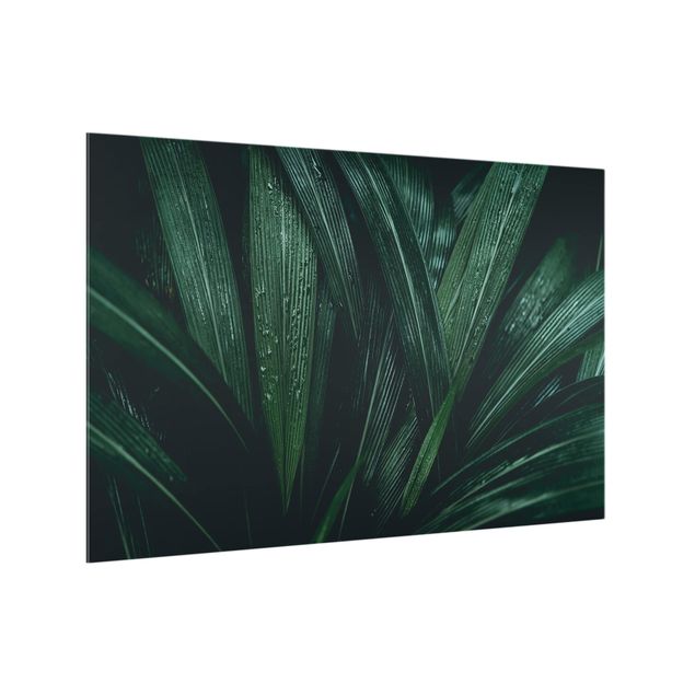 Splashback - Green Palm Leaves