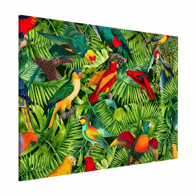 Magnetic memo board - Colourful Collage - Parrots In The Jungle