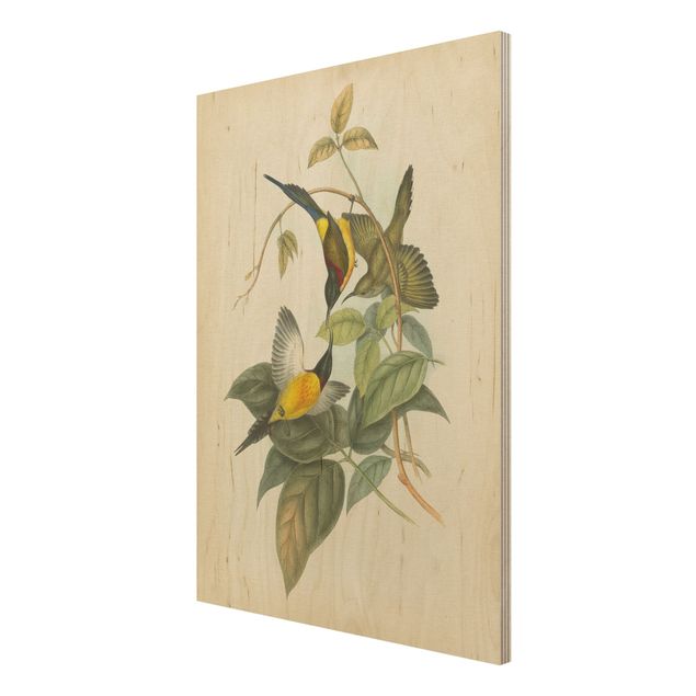Print on wood - Vintage Illustration Tropical Birds IV