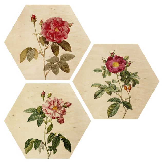 Wooden hexagon - Pierre Joseph Redouté - Roses