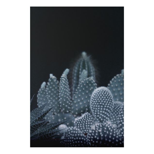 Print on aluminium - Familiy Of Cacti At Night