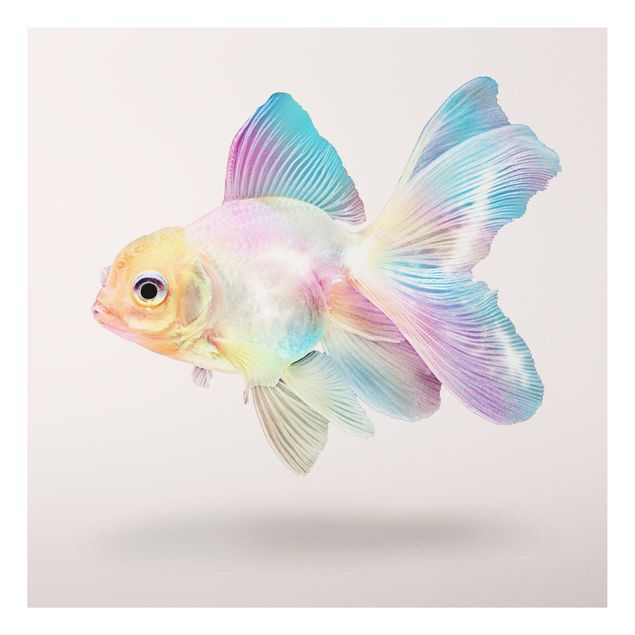 Print on aluminium - Fish In Pastel