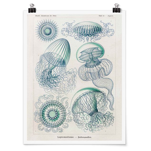 Poster - Vintage Board Jellyfish In Blue