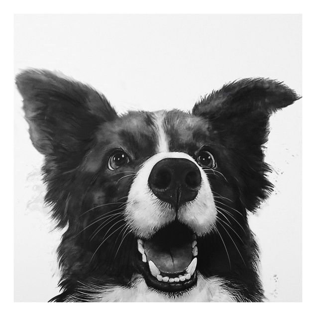 Print on forex - Illustration Dog Border Collie Black And White Painting