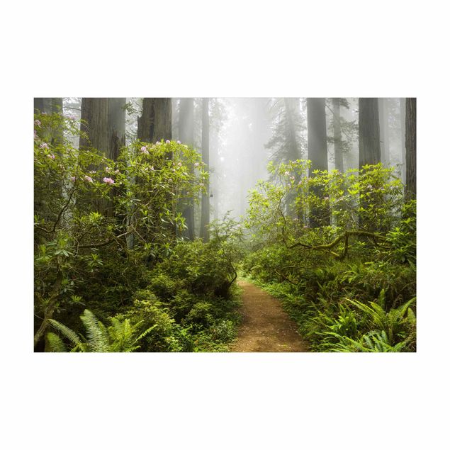 Green rugs Misty Forest Path