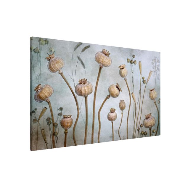 Magnetic memo board - Dried Poppy Flower