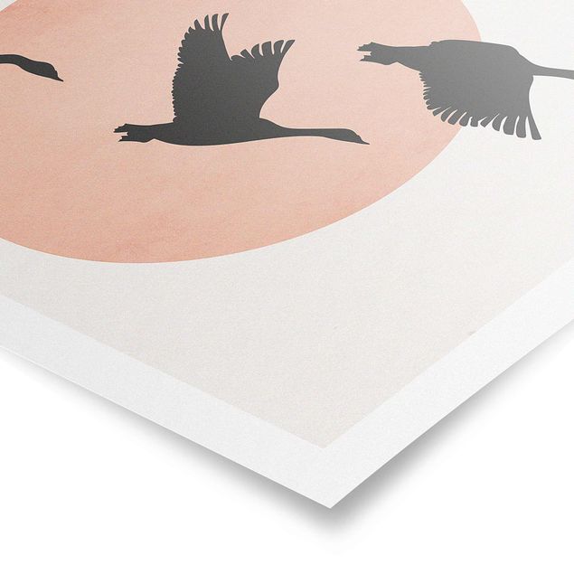 Poster - Birds In Front Of Rose Sun III
