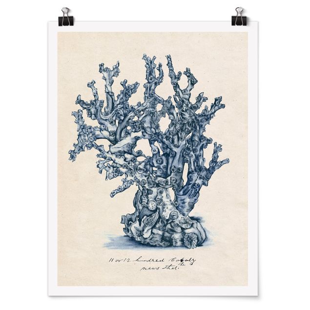Poster flowers - Sea Corals Study II