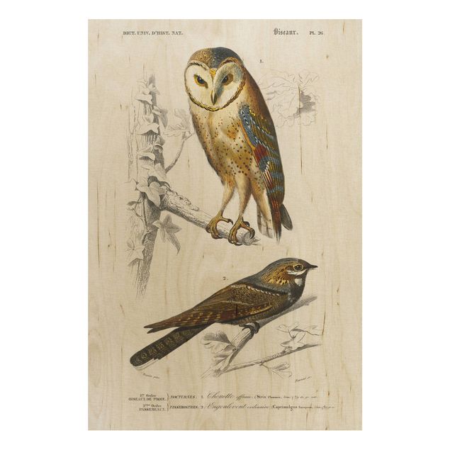 Print on wood - Vintage Board Owl And Swallow