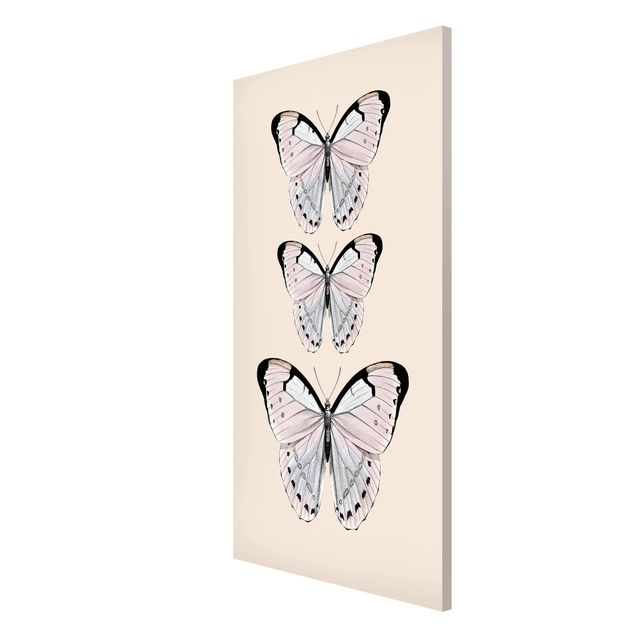 Magnetic memo board - Butterfly On Beige