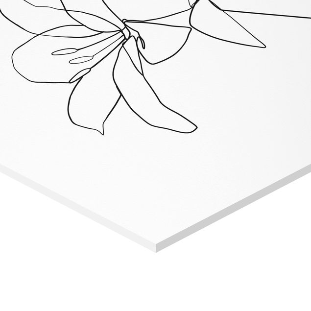Forex hexagon - Line Art Flower Black White