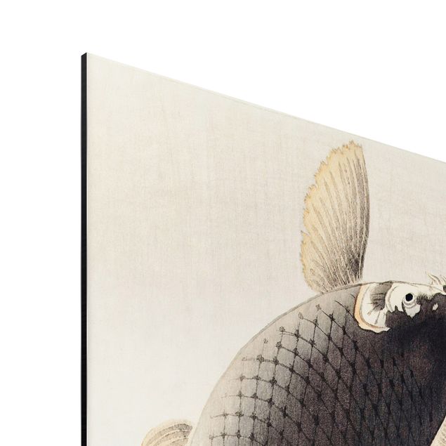 Print on aluminium - Vintage Illustration Asian Fish II