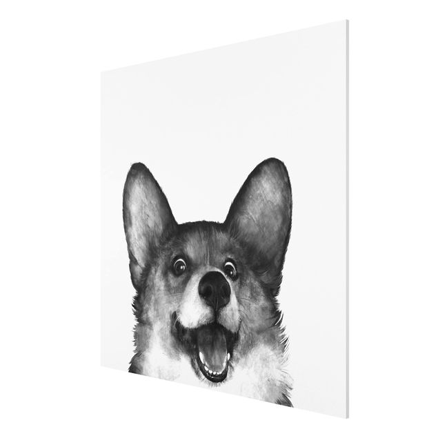 Print on forex - Illustration Dog Corgi Black And White Painting