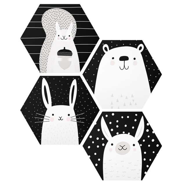 Alu-Dibond hexagon - Zoo - Squirrel Polar Hare IIama