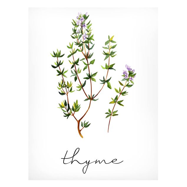Magnetic memo board - Herbs Illustration Thyme