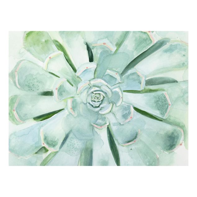 Glass Splashback - Succulent Watercolor Bright - Landscape 3:4