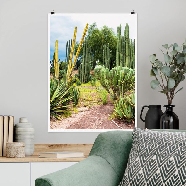 Poster nature & landscape - Cactus Landscape