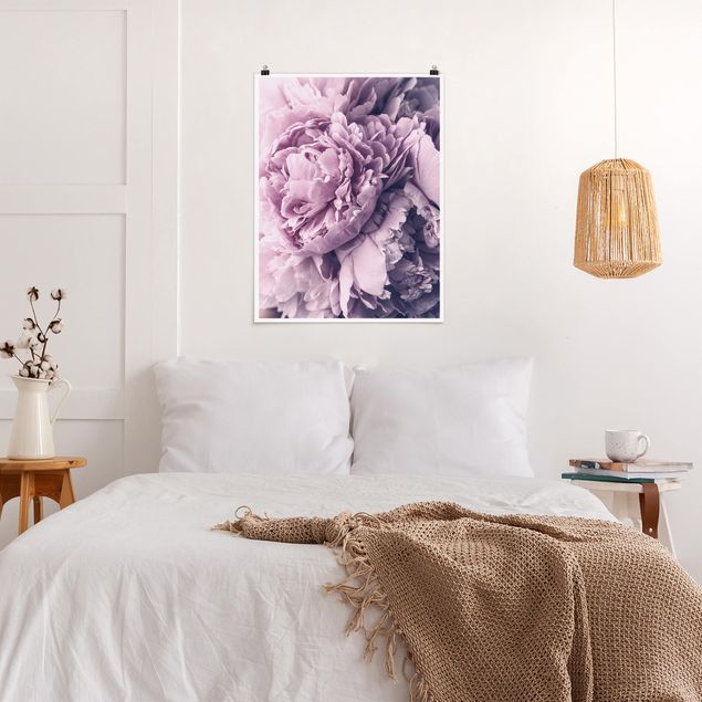 Poster - Purple Peony Blossoms