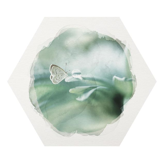 Forex hexagon - WaterColours - Butterfly And Dew Drops In Pastel Green