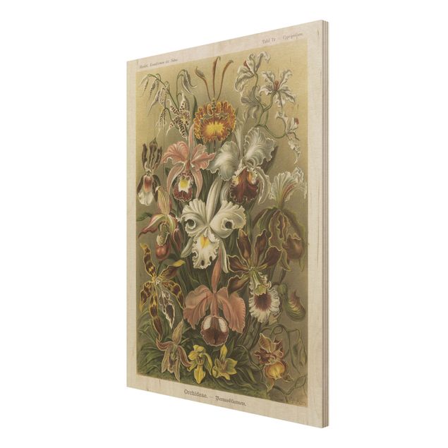 Print on wood - Vintage Board Orchid