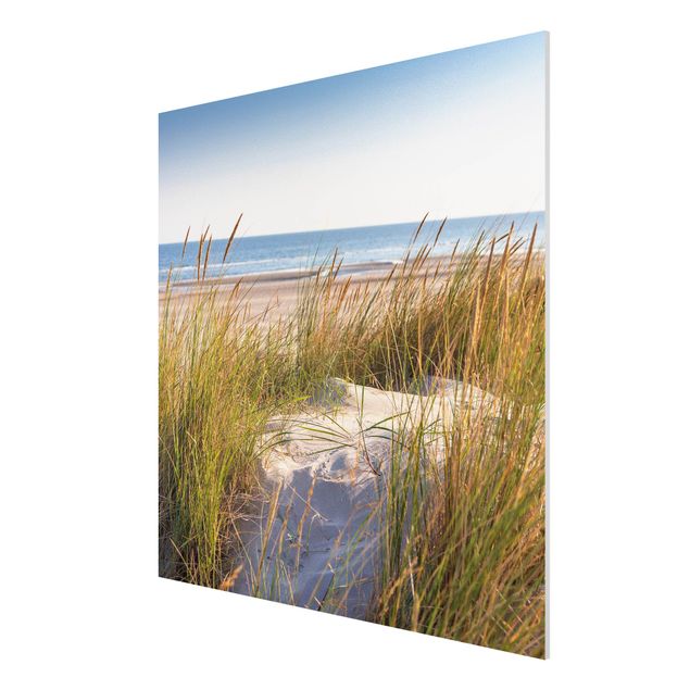 Print on forex - Beach Dune At The Sea