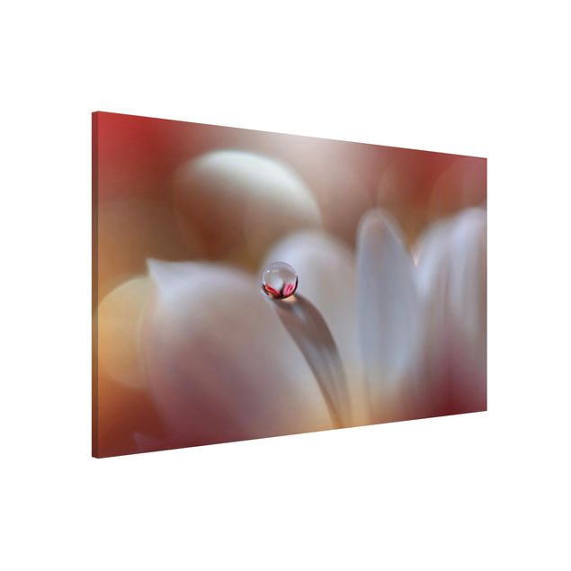 Magnetic memo board - Dewdrops On Pink Blossom
