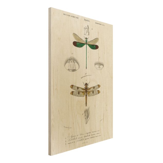 Print on wood - Vintage Board Dragonflies