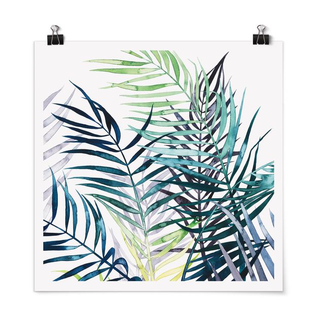Poster - Exotic Foliage - Palme