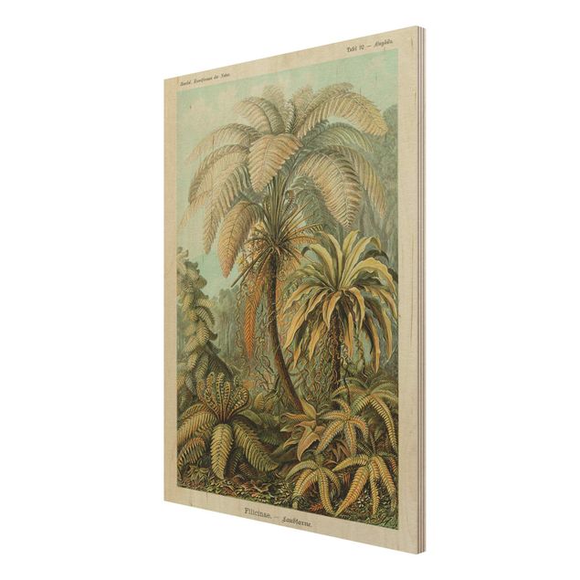 Print on wood - Botany Vintage Illustration Leaves Ferns