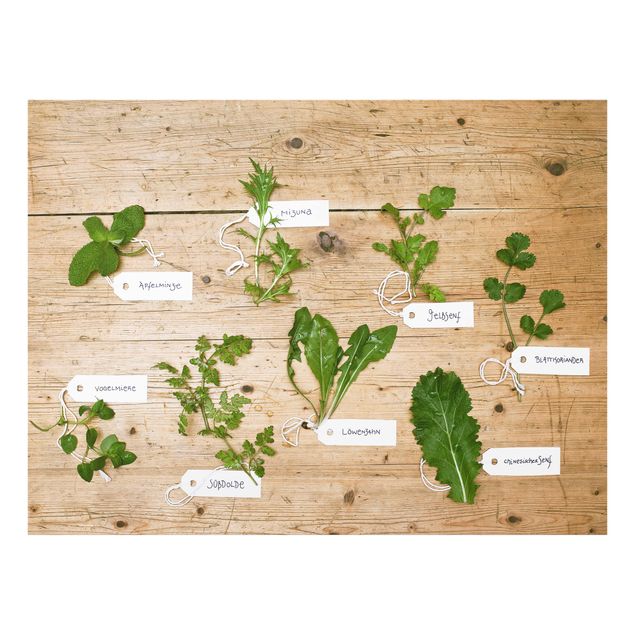 Glass Splashback - Herbs With Labeling - Landscape 3:4