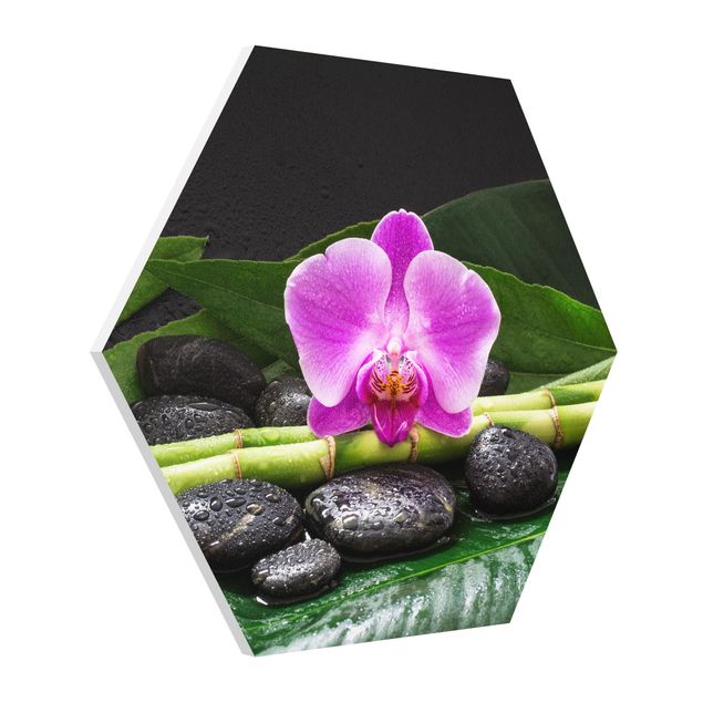 Hexagon Picture Forex - Green Bamboo With Orchid Blossom