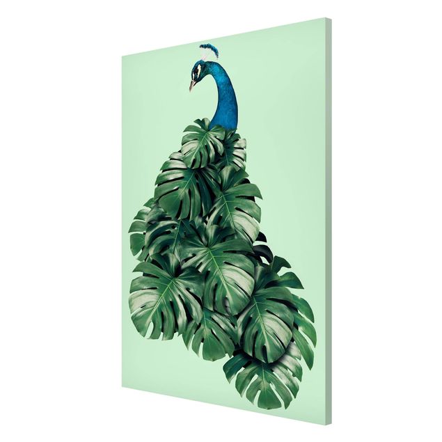 Magnetic memo board - Peacock With Monstera Leaves