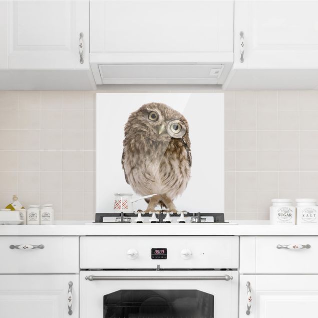 Glass splashback kitchen Curious Owl